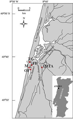 Using Oyster Shells for Customized 3-D Structures for Monitoring Ecosystem Shifts on Ascidians Diversity